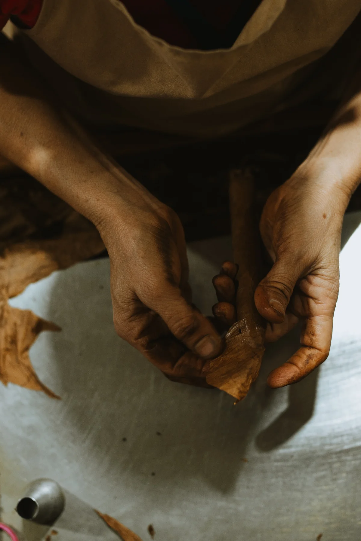 A Plasencia torcedor shaping a cigar in its wrapper leaf by hand