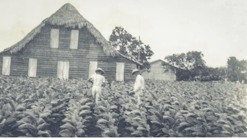 Plasencia family archive, 1865