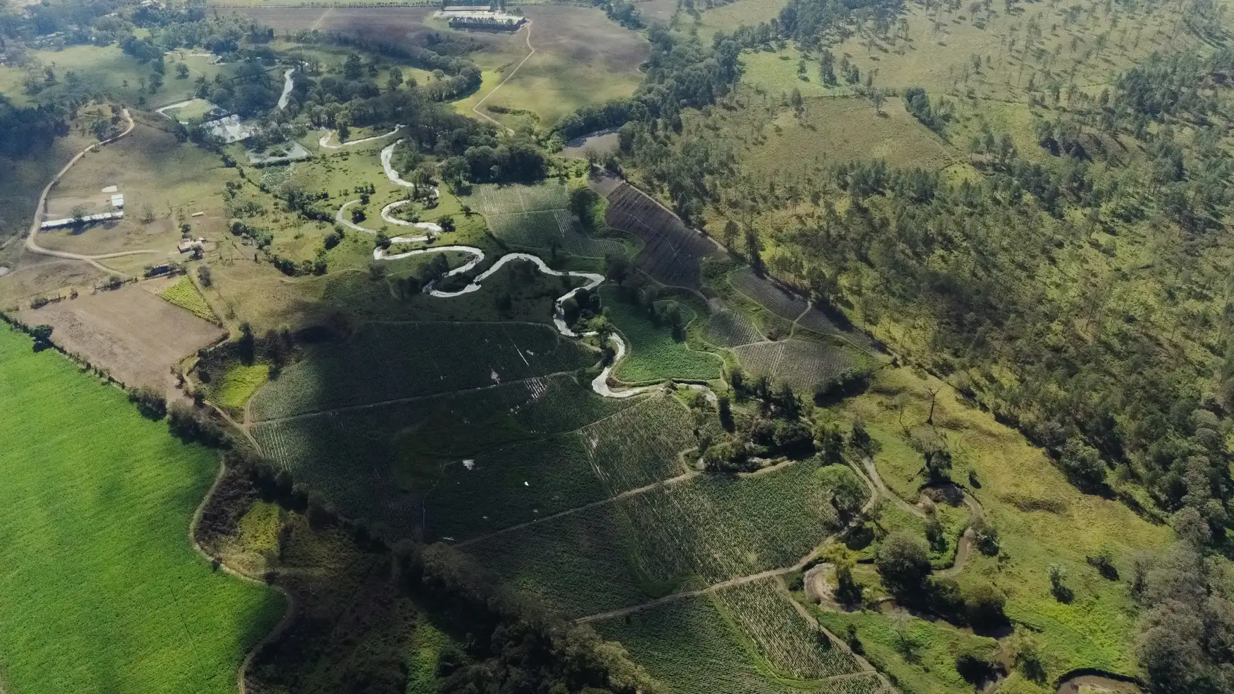 The tobacco fields of Estelí from the air, a river winding between them