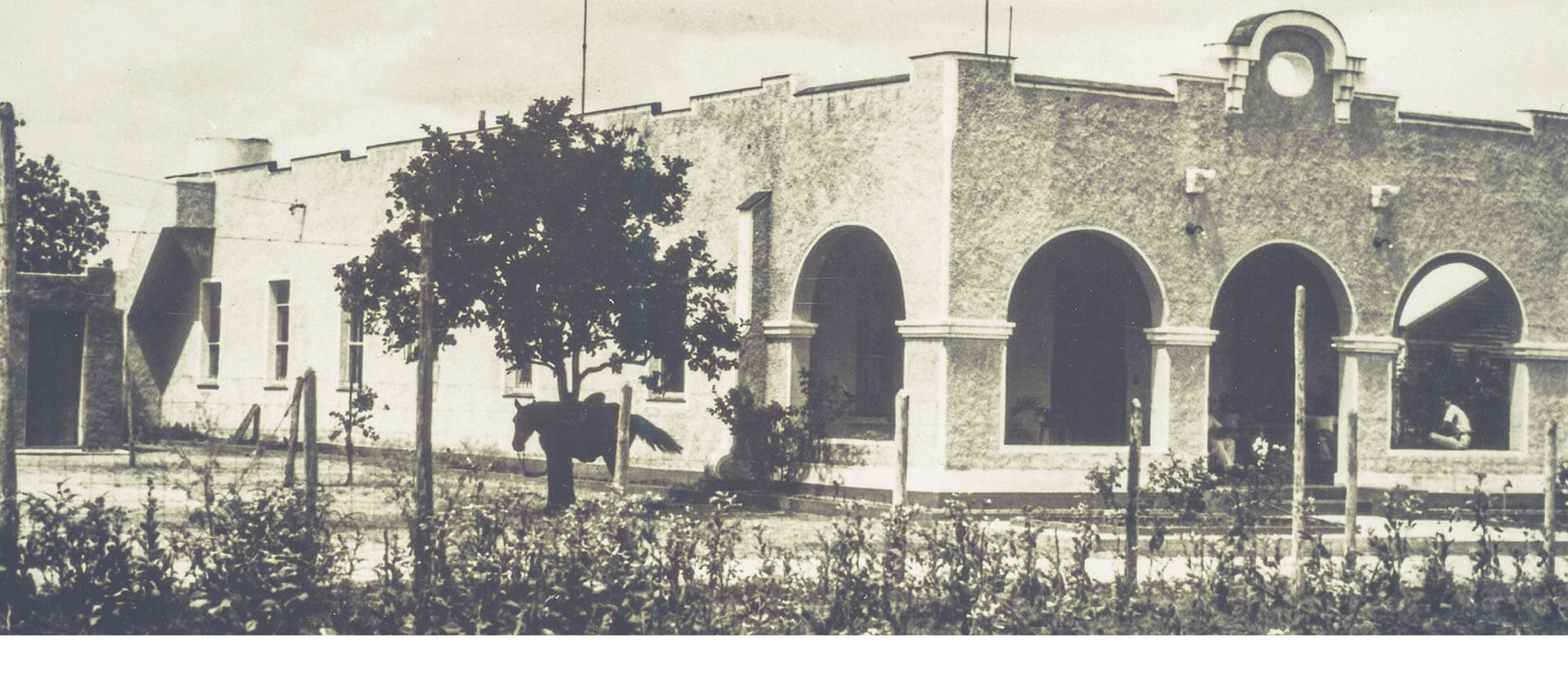 Plasencia Cigars - 1898 photo