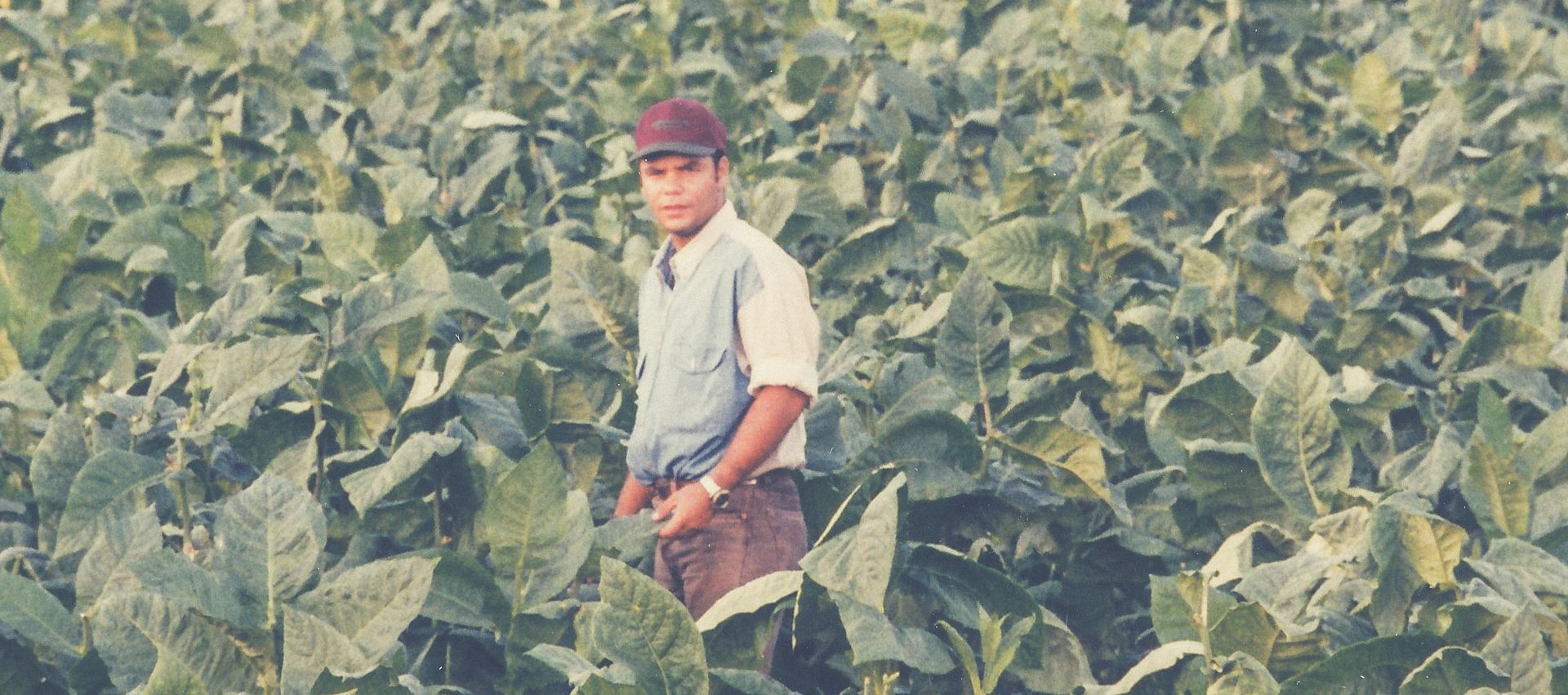Plasencia Cigars - 1998 photo
