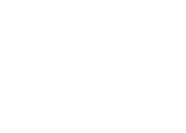 Logo - Alma del Cielo